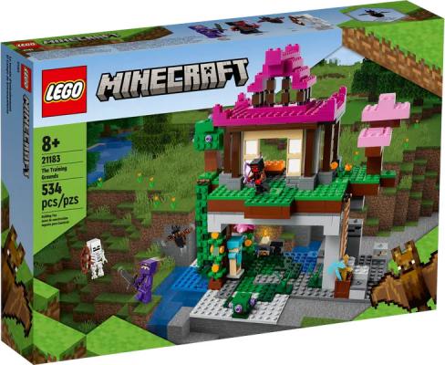 LEGO Minecraft De Trainingsplaats - 21183